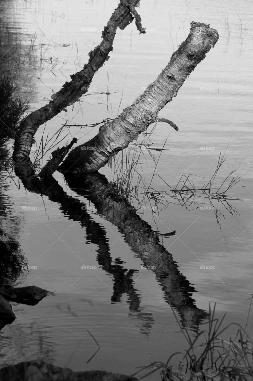 Black and withe reflections