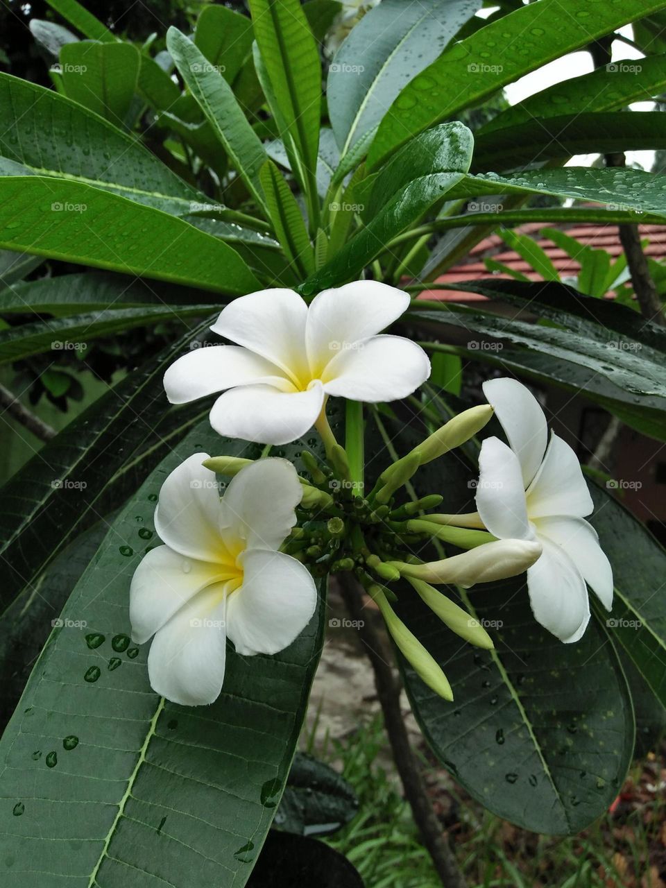 Best of 2021 : Nature