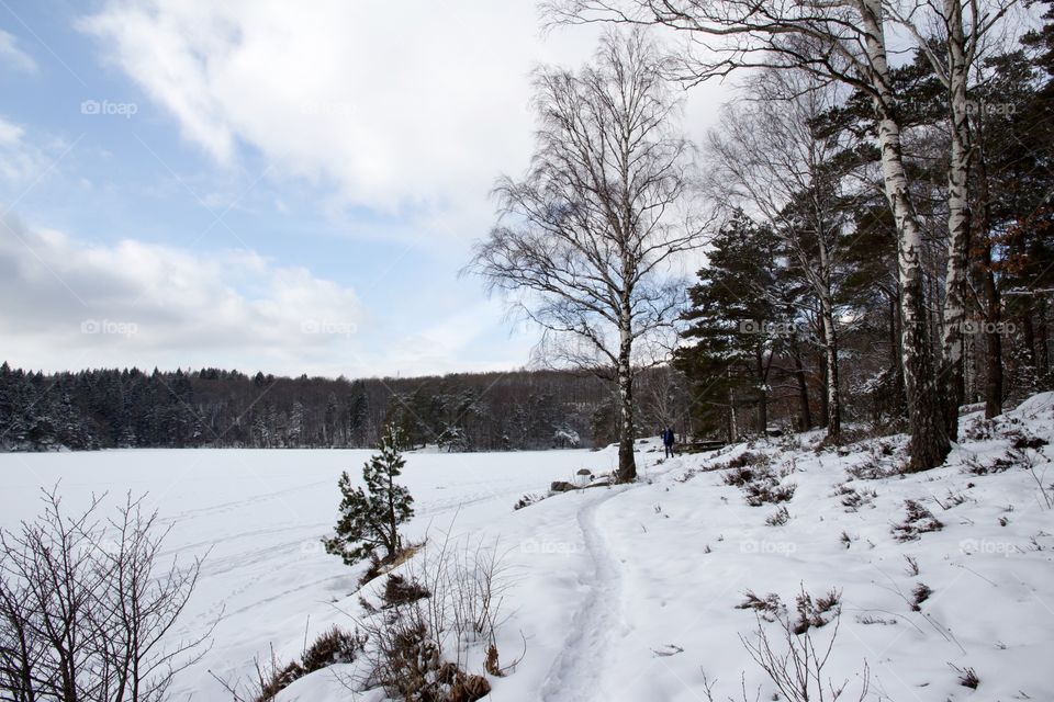 Snowy path in the forest by the lake, Sweden - snö skog stig sjö , kåsjön Partille Sverige 