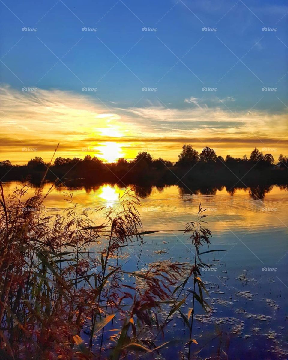 How much do you like this picture ?