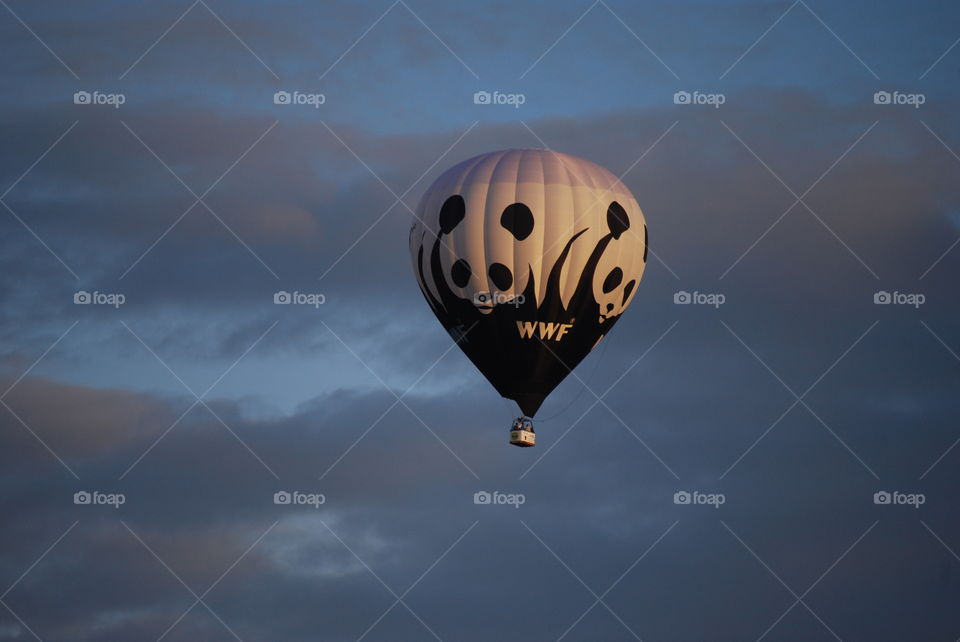 Hot air balloon in the sky