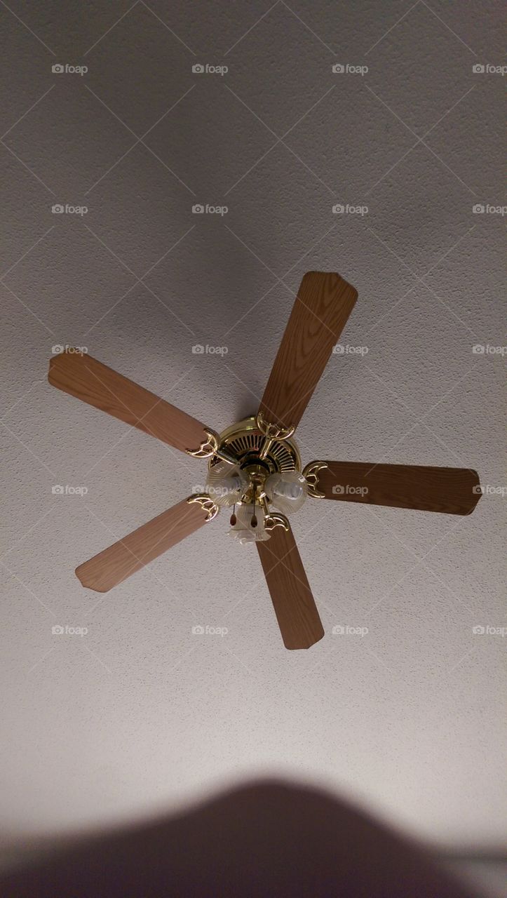 ceiling fan