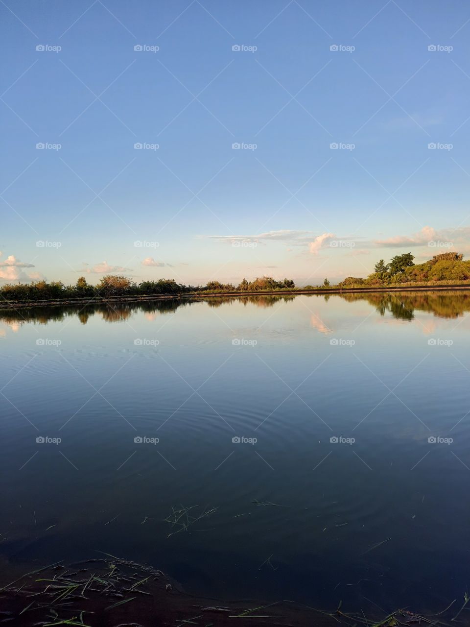 man made lake Mt. Elgon Orchards Kenya