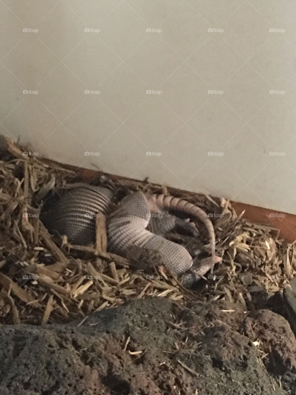 Waste, No Person, Garbage, Broken, Industry