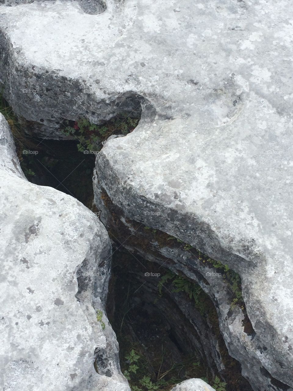 Burren rocks