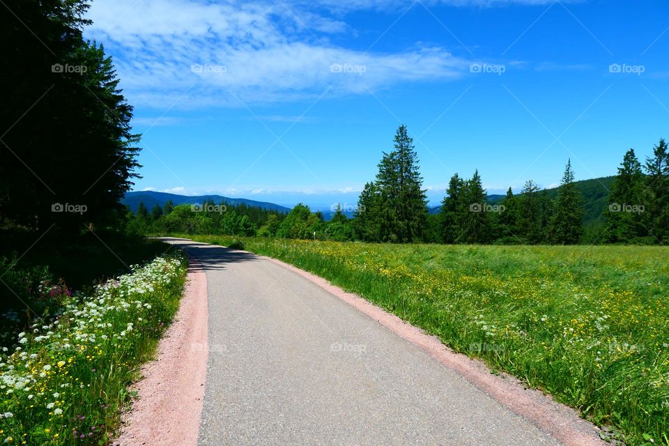 Einsame Straße im grünen