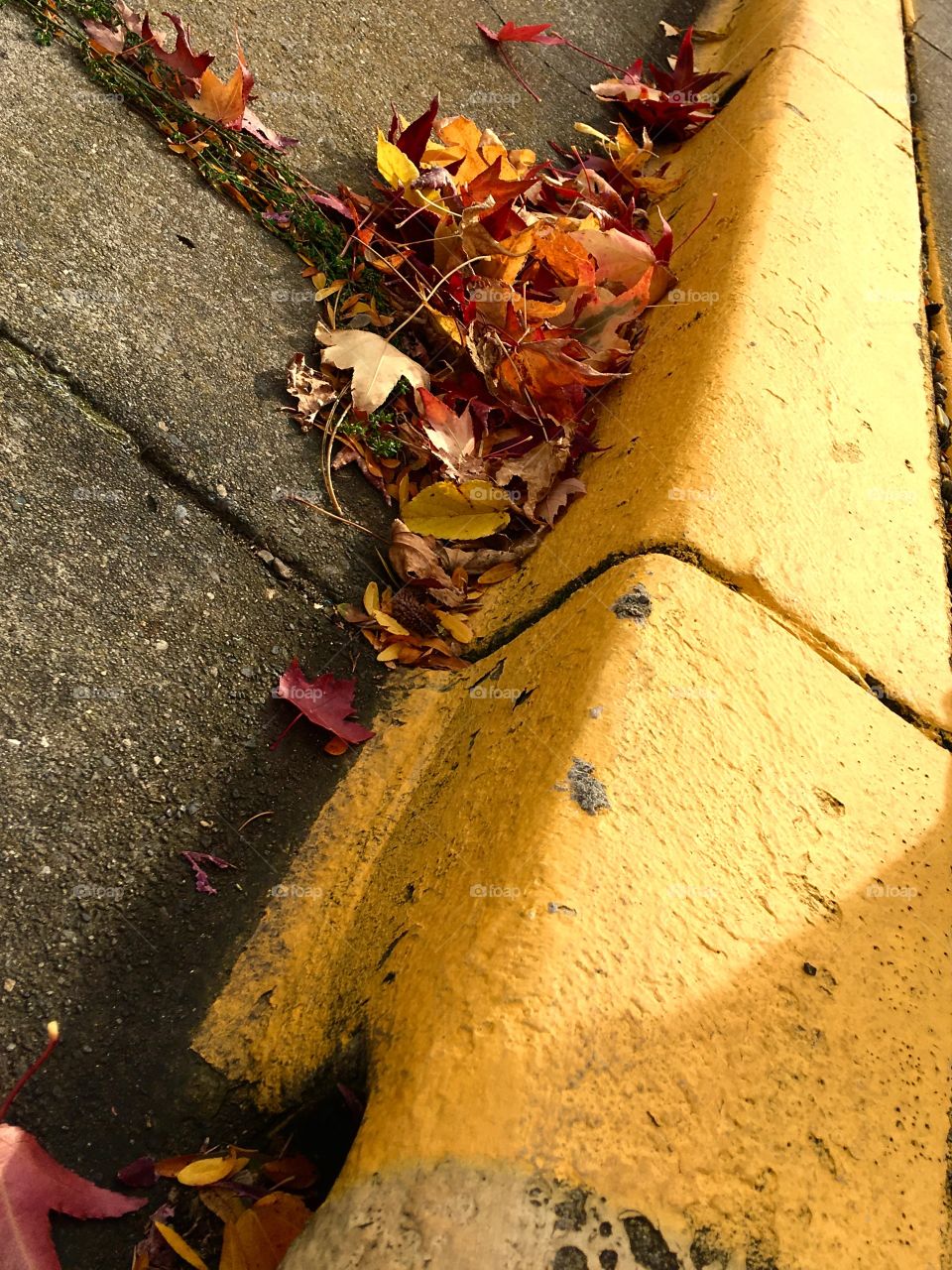 Yellow Curb 