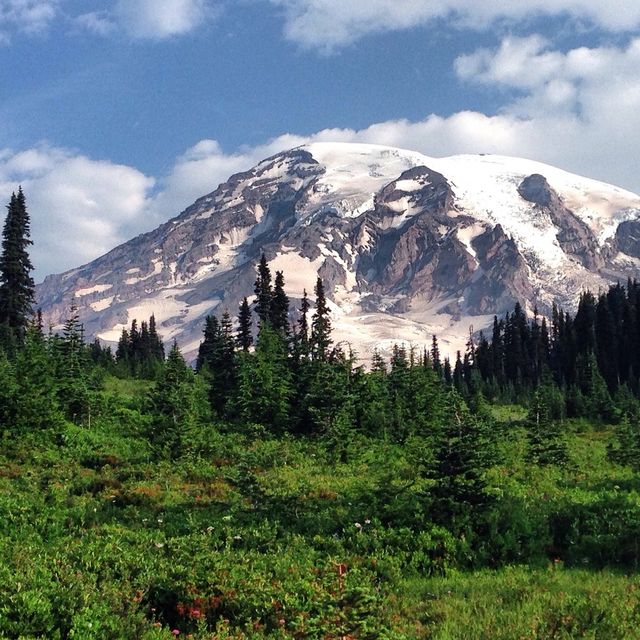 Mt. Rainier covered with snow