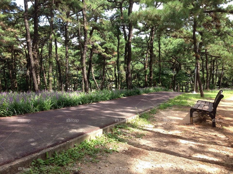 A running path