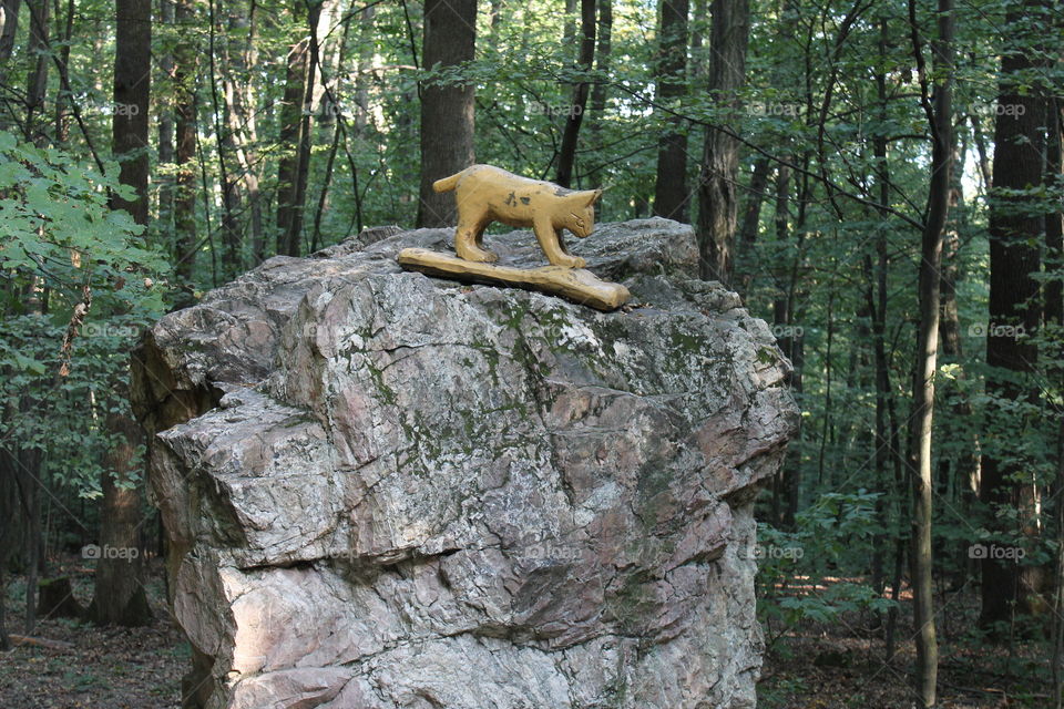 Cat in the wood. Monument. Skulpture