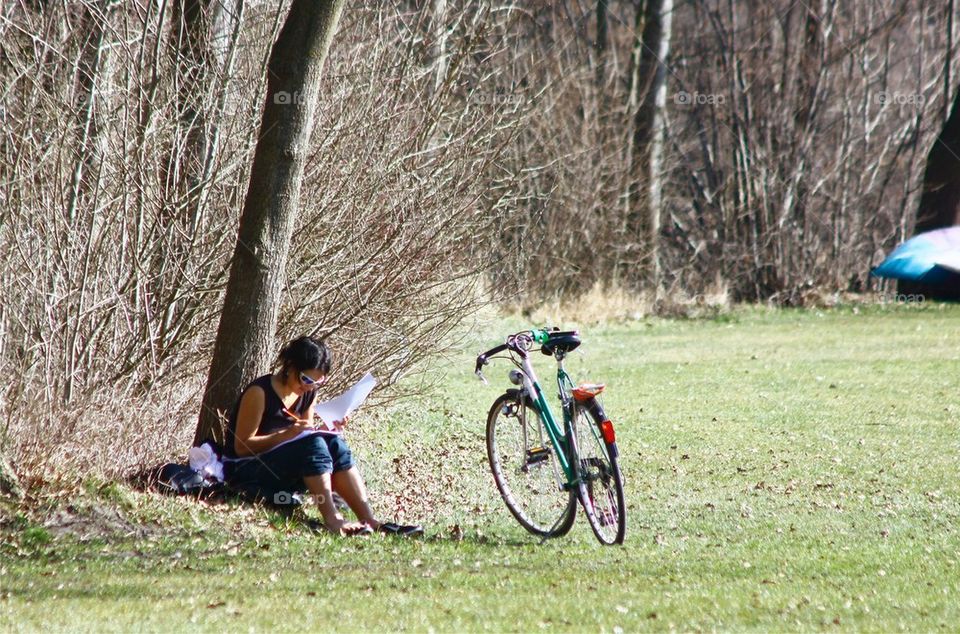 Studying In The Forest