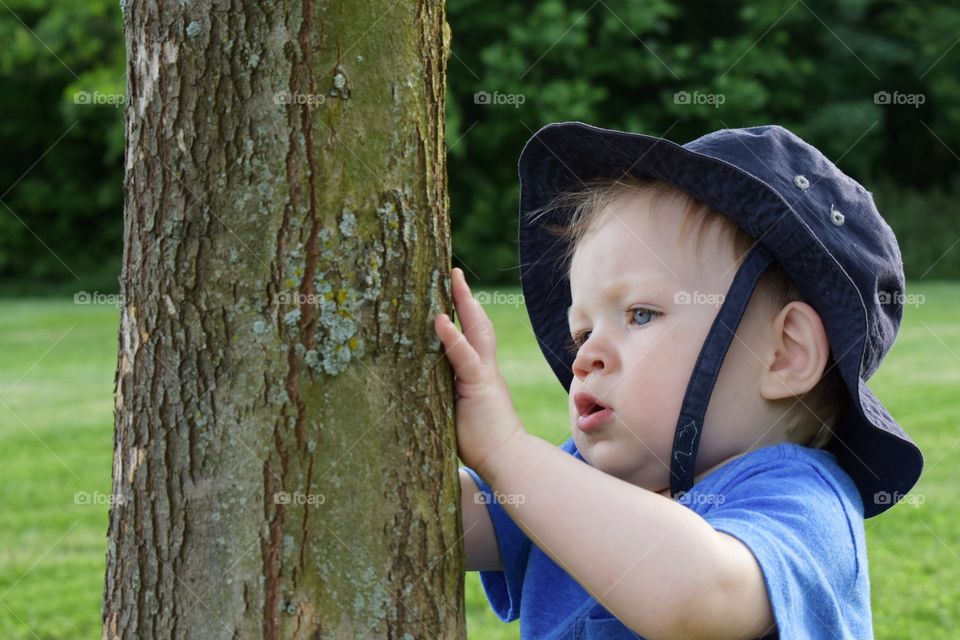 Cute toddler boy in hat exploring nature, examining tree bark 