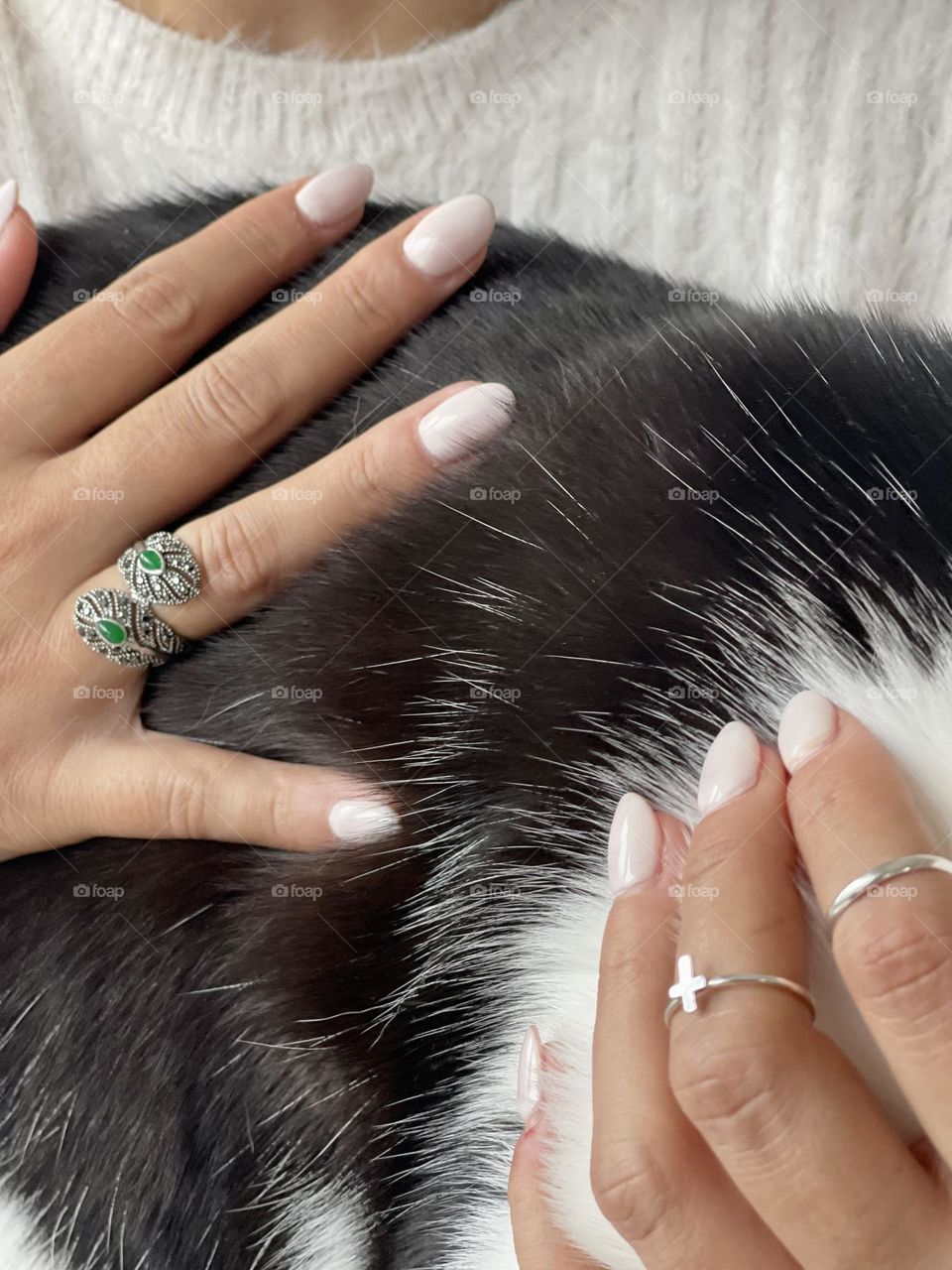 Woman's hands wearing white nail polish and silver rings, petting a black and white tuxedo cat