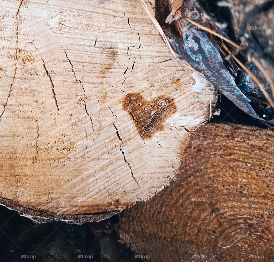 Close up of a light brown tree trunk with a dark brown heartshape in it