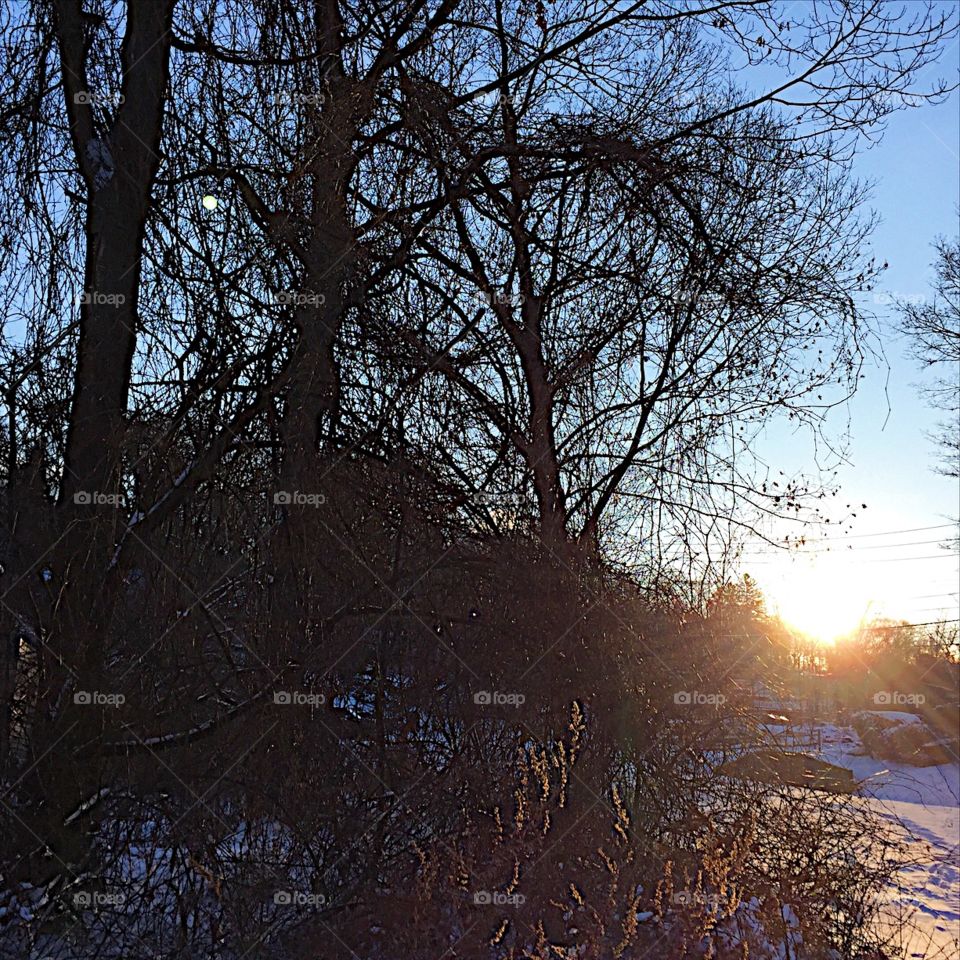 Great run this AM in the 13F weather. Food for thought... 

"Do not allow the changes to your life be determined by what people expect or did to you. The best catalyst for change is when your heart declares you deserve better, you deserve to be happy and you deserve a beautiful life. You are changing not because you are settling. You are changing because you want to realize the best version of you." — Dodinsky