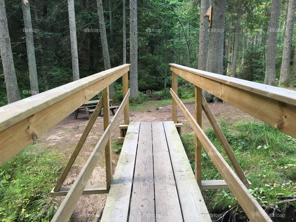 Getåravinen Nature Reserve, Kolmarden, Sweden