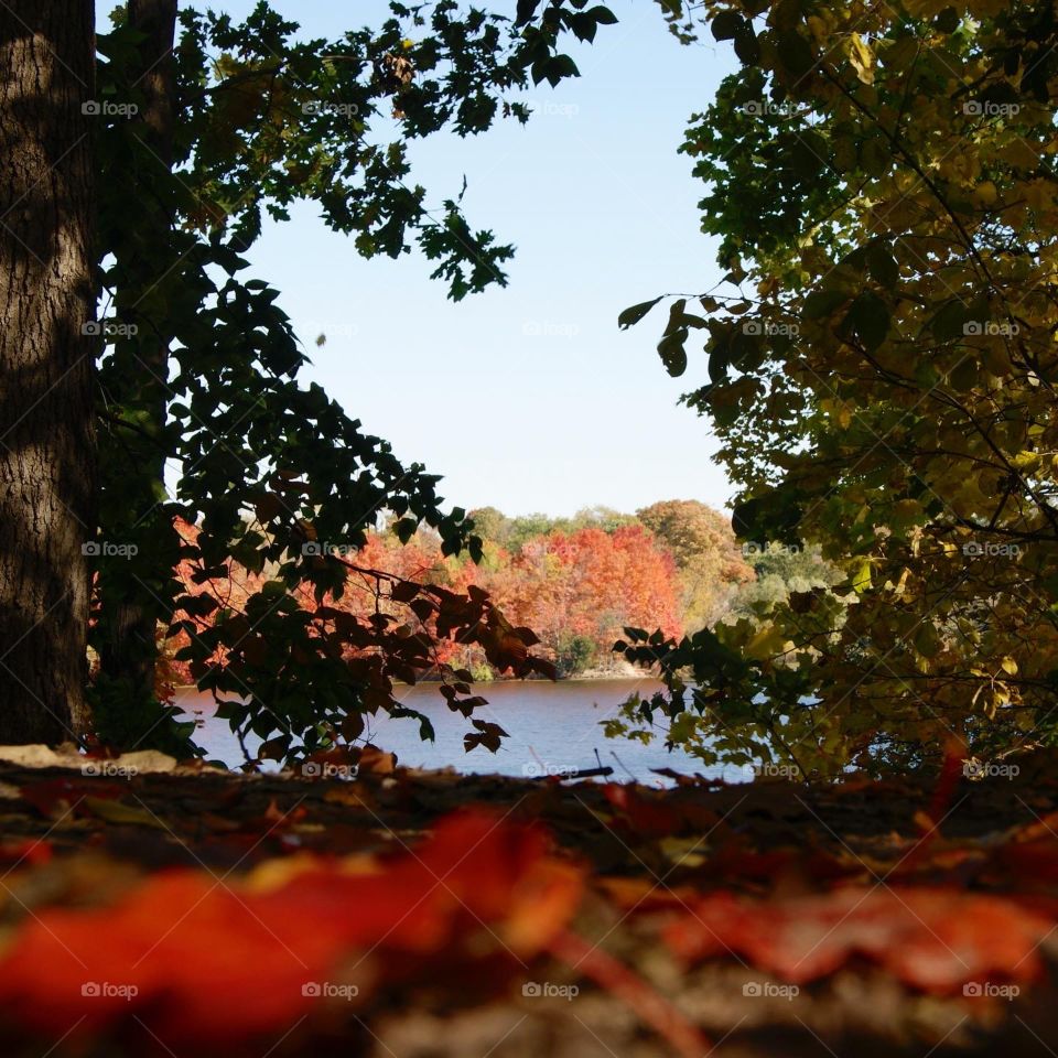 Autumn in michigan