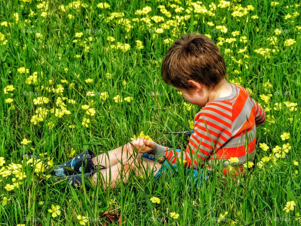 Boy Picking Wildflowers