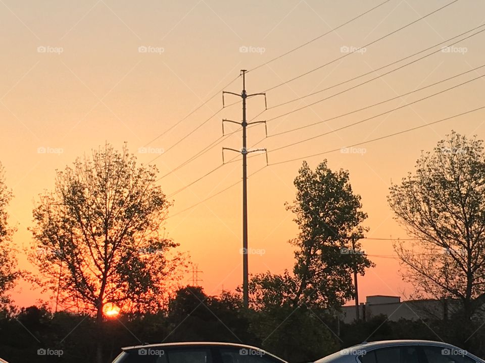 Menlo Morning Sunrises 