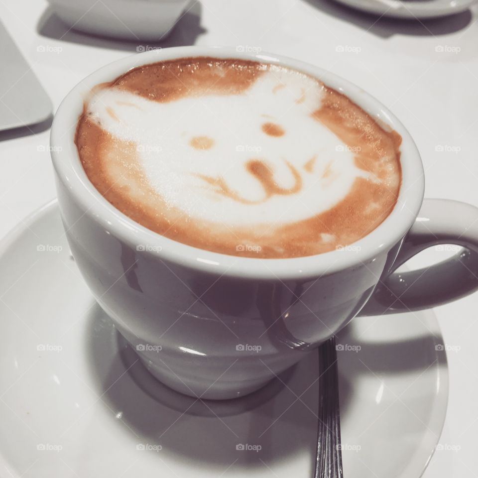 Beary good coffee