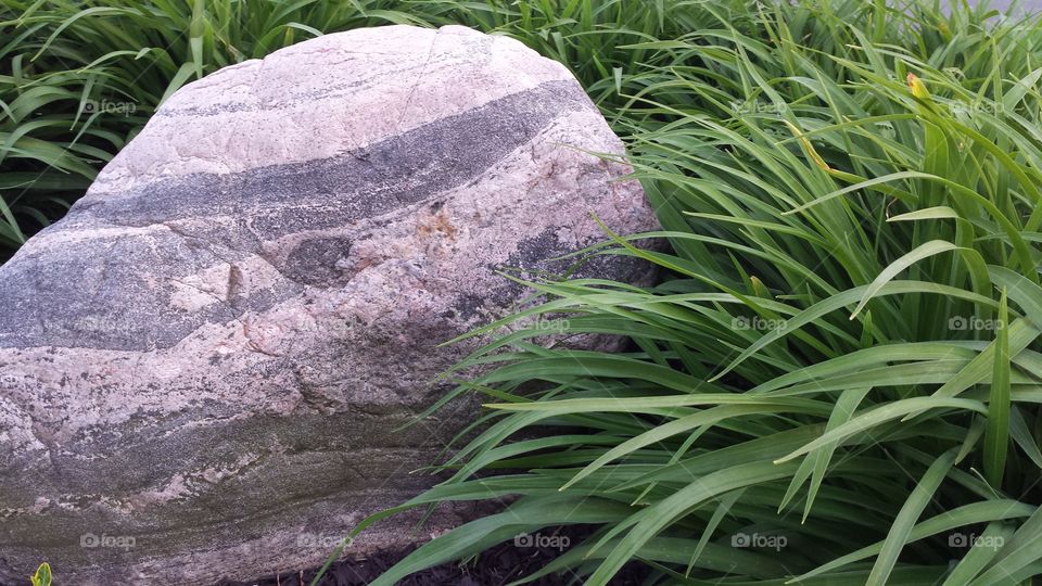 landscaping rock. grass