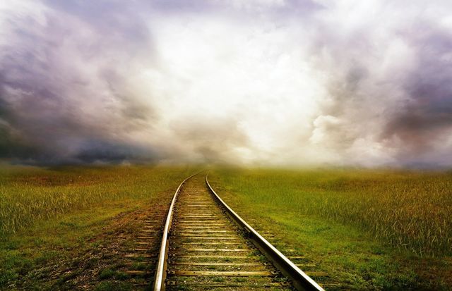 railway track in middle of green land