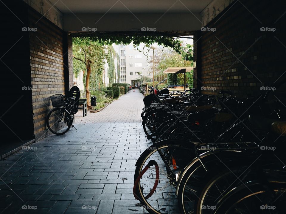 Bicycle parking and the backyard 