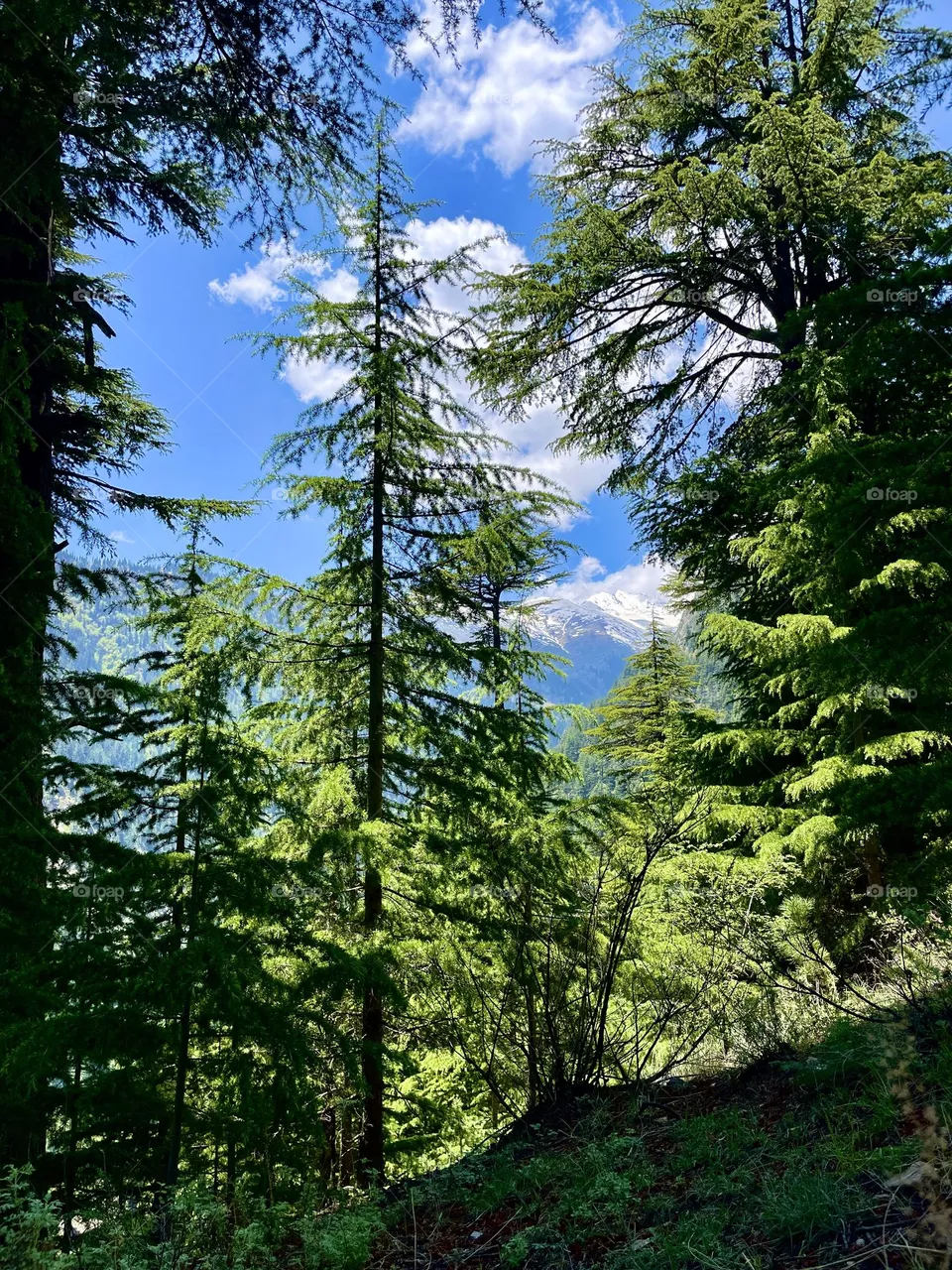 A beautiful day