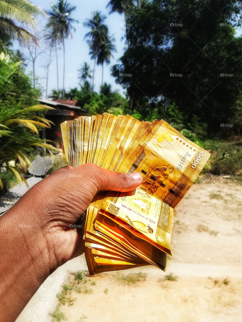Sri Lanka Money 💷 Lkrs
