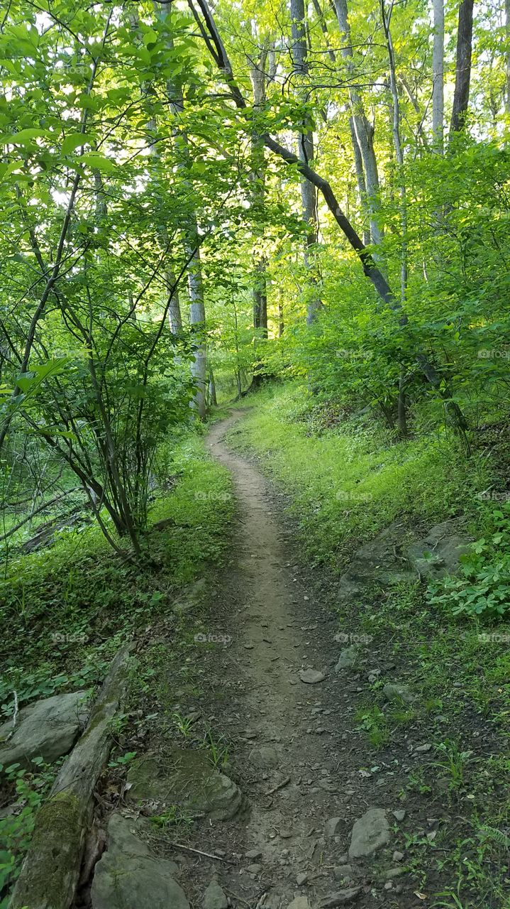 old trail