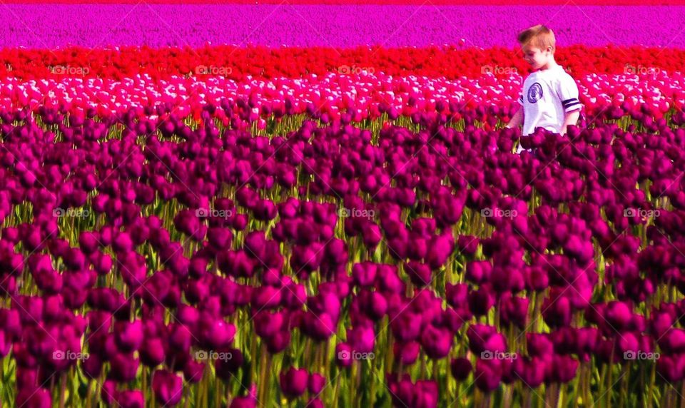 Boy with tulips