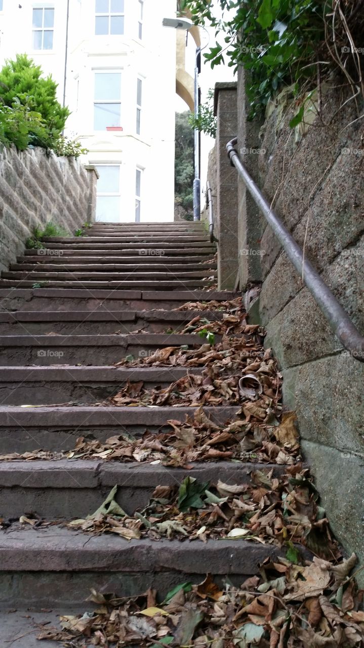 Step, Wood, No Person, Guidance, Outdoors