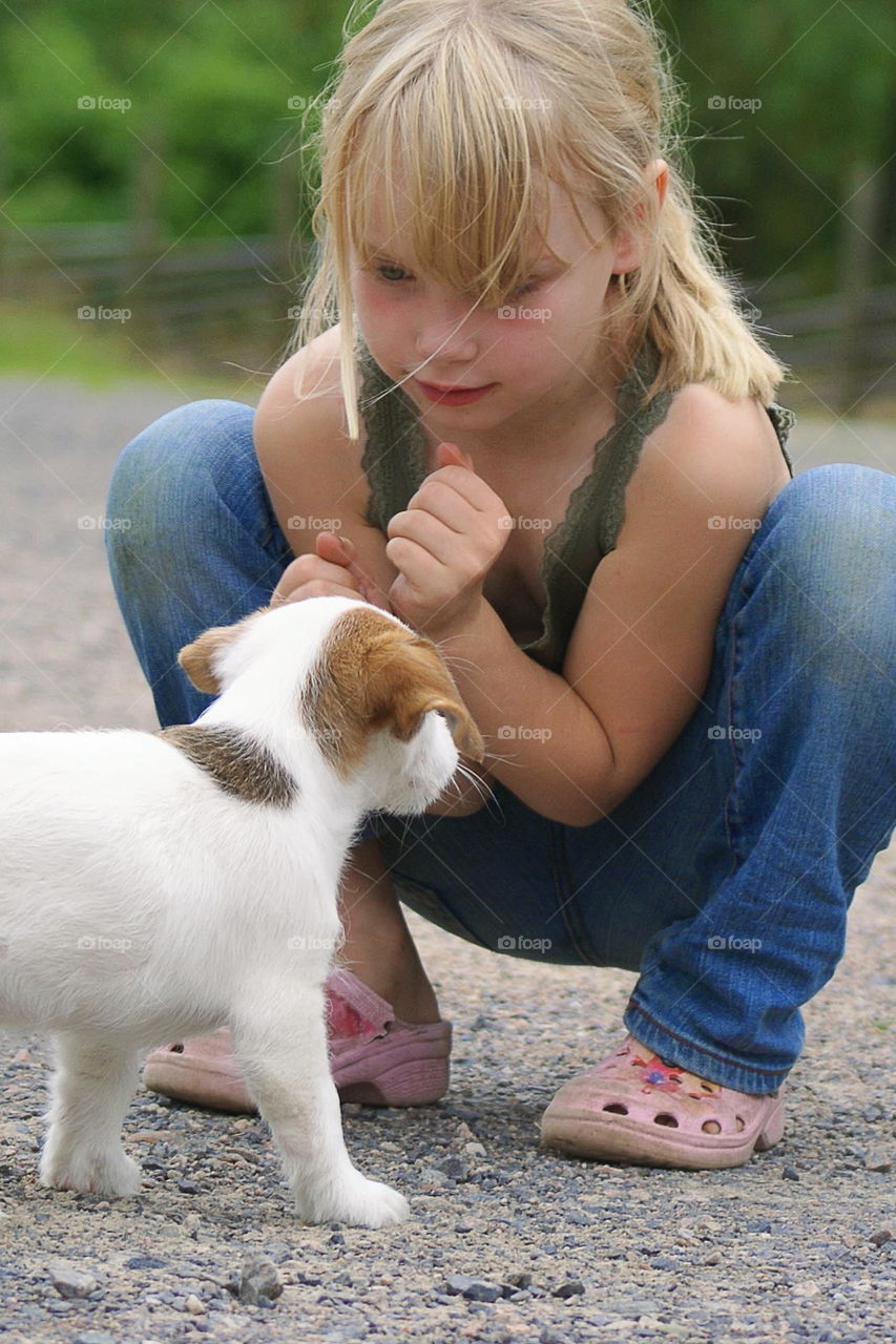 Puppy and a girl saying hello 