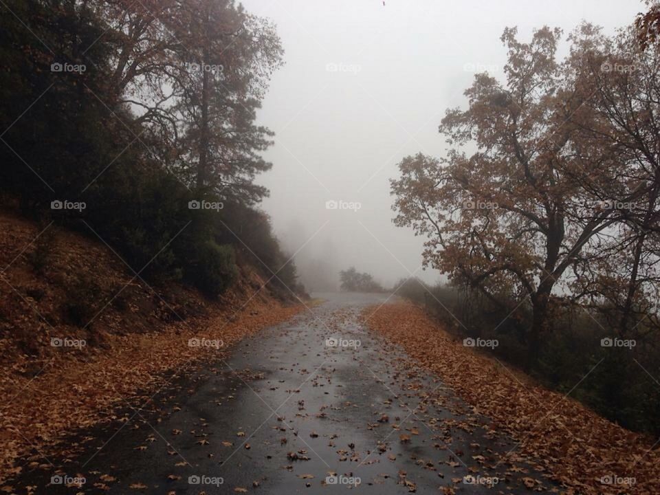 Mountain road in the fall, California 