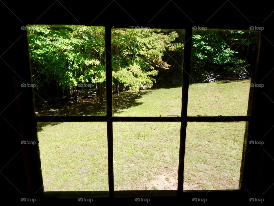 Out The Cabin Window