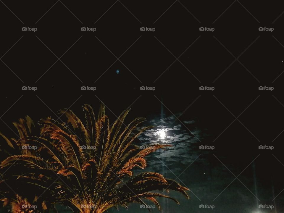 Upload your photo of the week : night sky