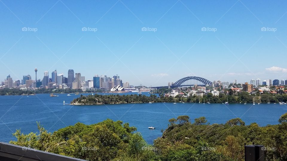 Sydney waterfront skyline