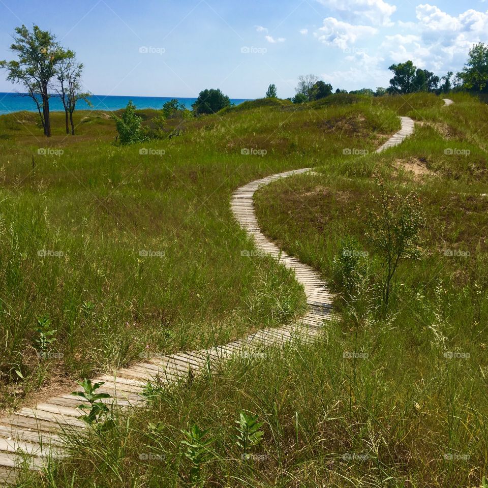 Boardwalk trail Wisconsin