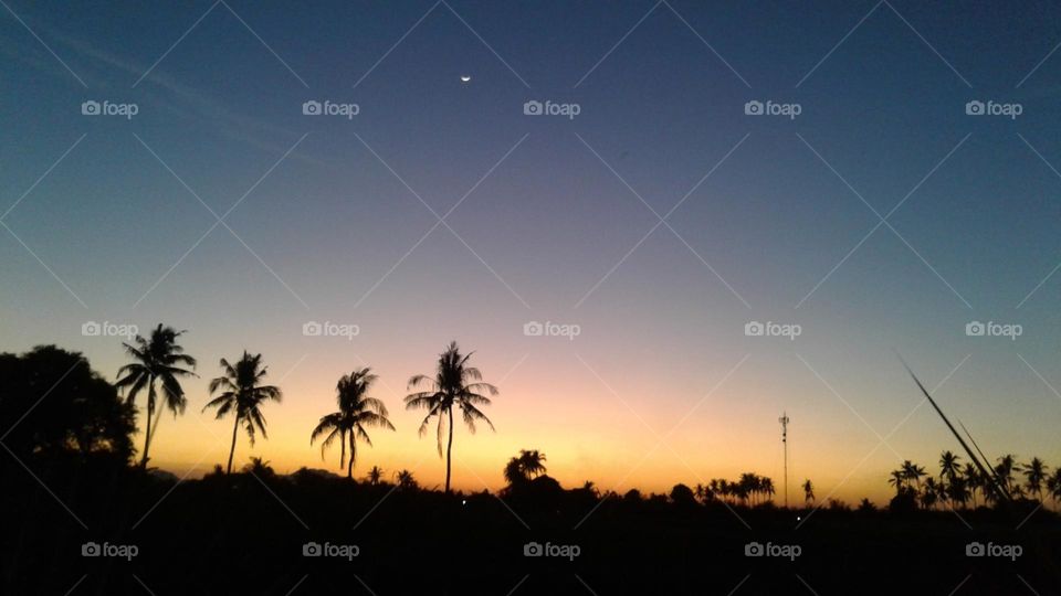 Sunset have calming power, a glorious setting Sun can wipe away crankiness and restore ones mood. Every Sunset is a promise of a new day.