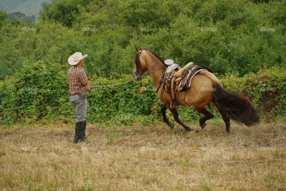 Cowboy With His Horse
