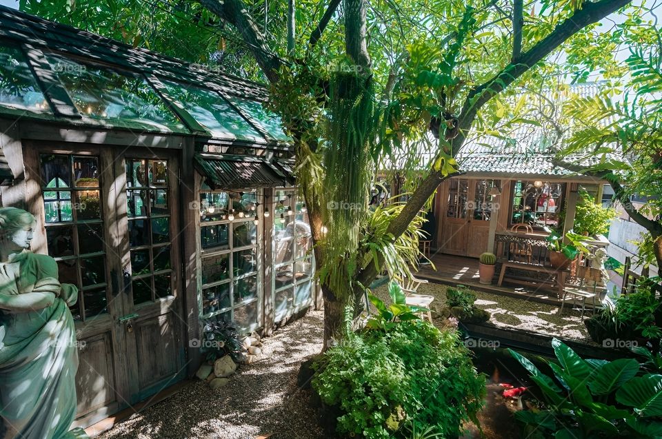 wooden house and trees in the village