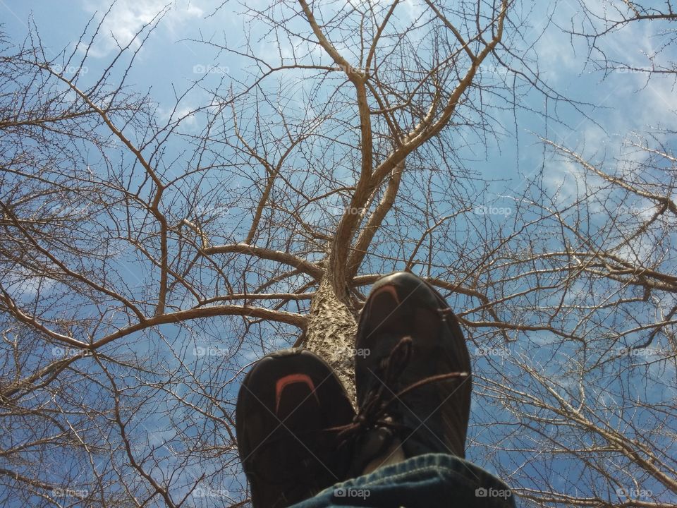 Walking on the tree. A picture I took while walking through the park one sunny afternoon.