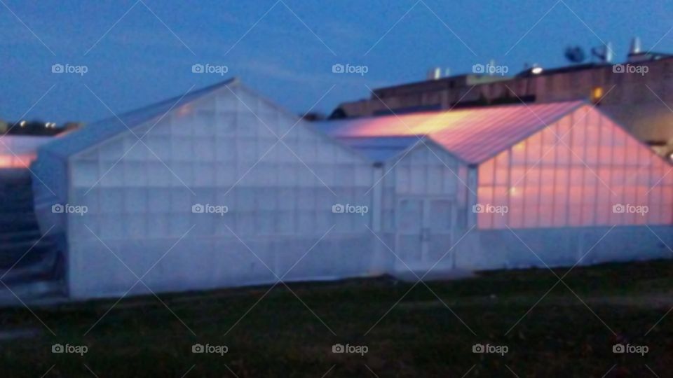 Throckmorton Plant Sciences Center