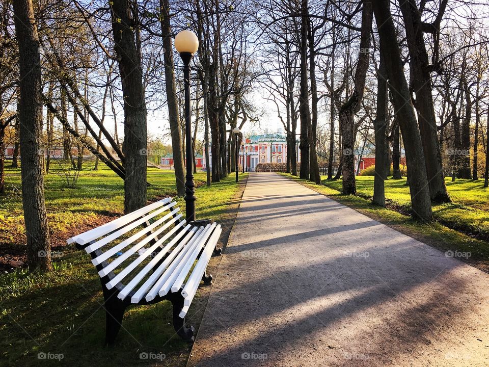 Bench, Park, Wood, Landscape, Tree