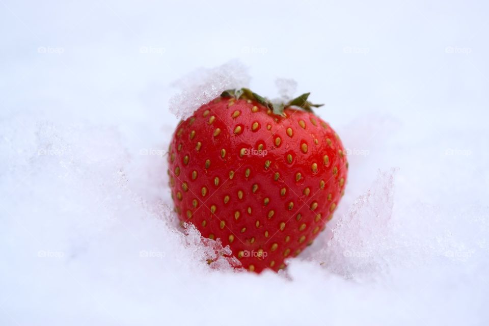 Strawberries With Snow