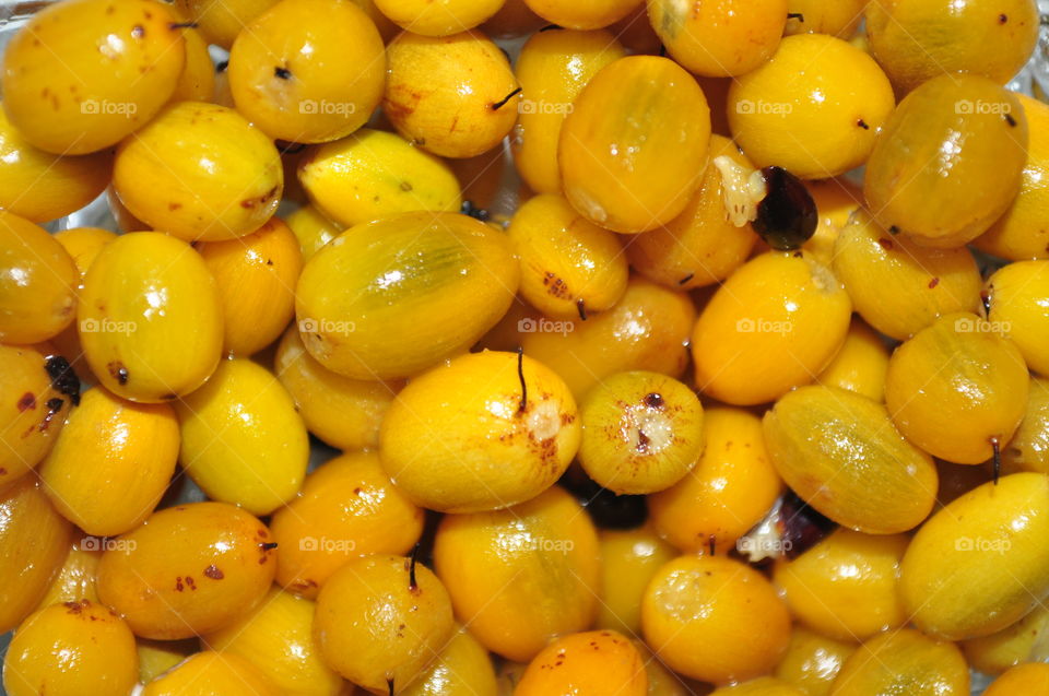 Manilkara hexandra - palu fruit in sri lanka