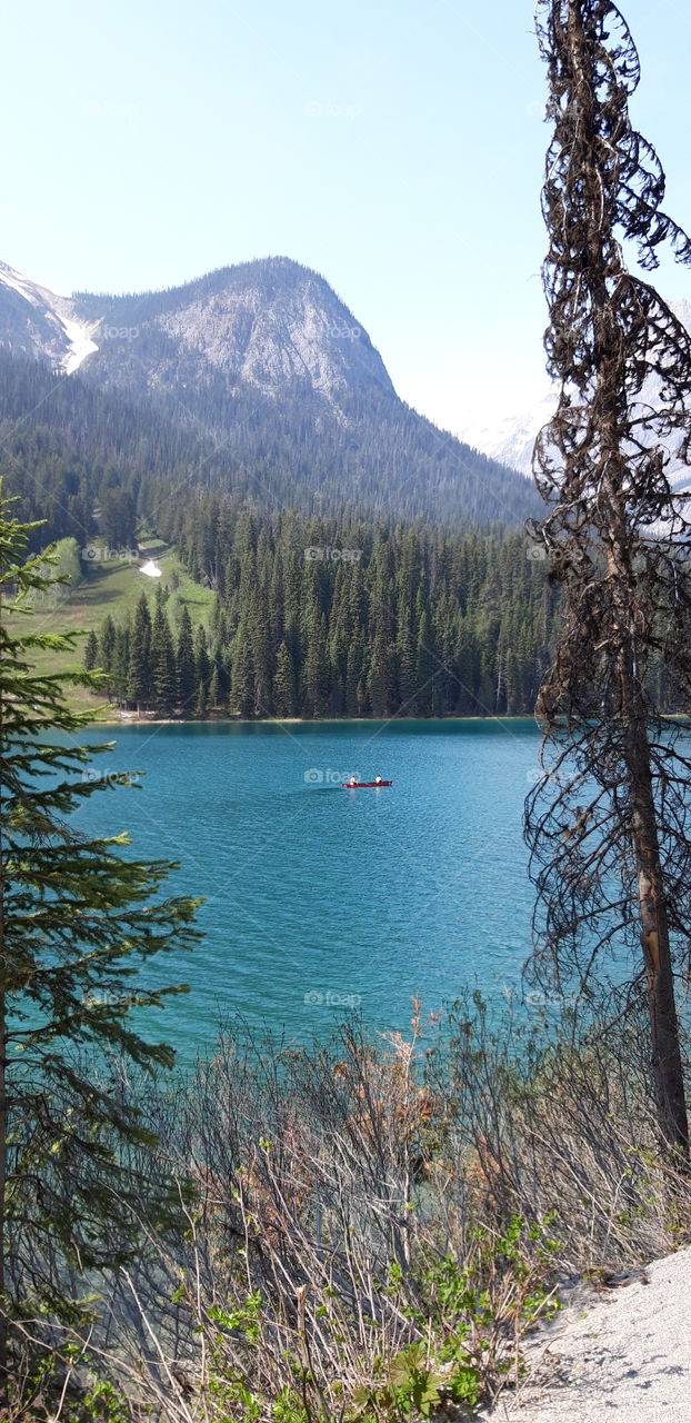 Emerald lake Canada