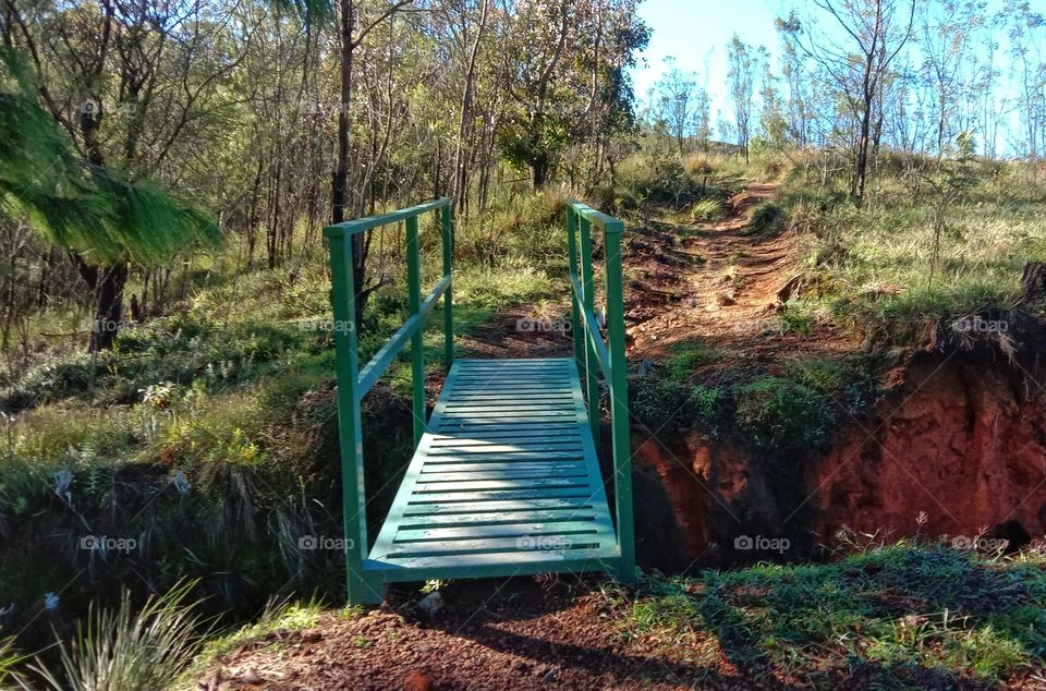 A green bridge towards mountain