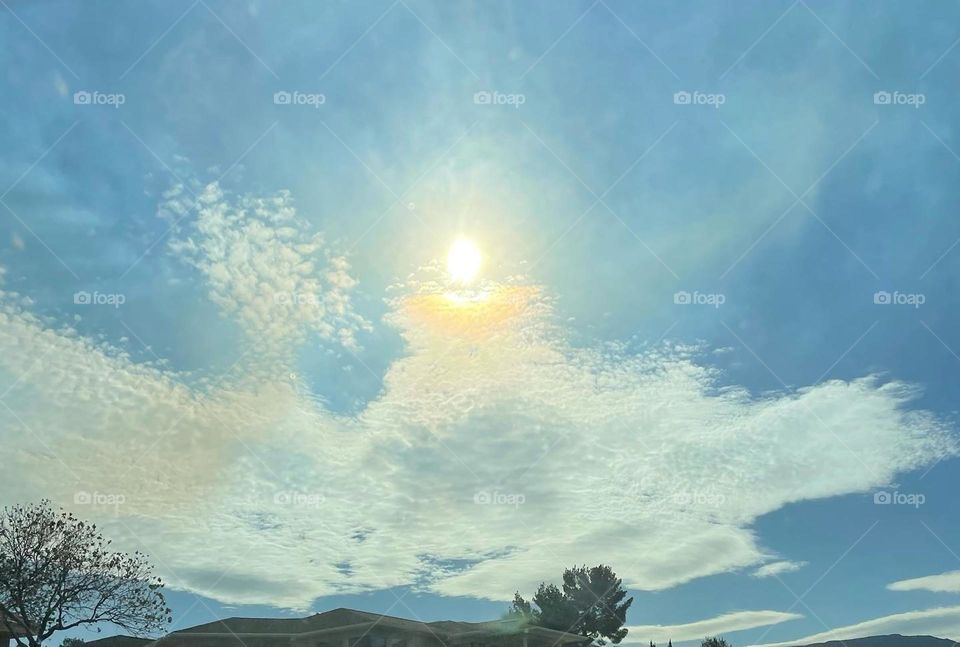 Blessings from the sky’s 🌏