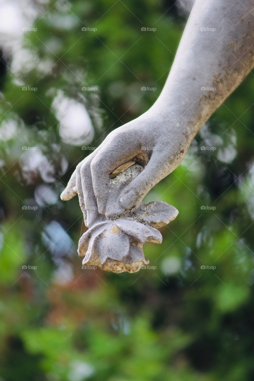 Marble Hand with Flower